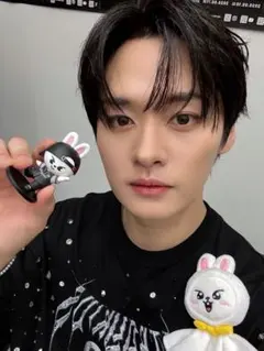 リービット アイドル