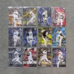 プロ野球チップス 2025 第1弾 最多奪三振 全12枚セット
