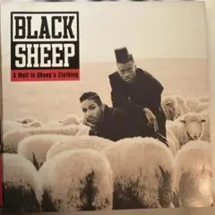 Black Sheep A Wolf In Sheep's Clothing