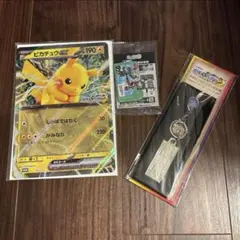 【値下げ】JR東日本　ポケモンメガスタンプラリー　2025 3点セット