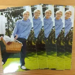 5枚【 Myojo 】 松倉海斗 平野紫耀 厚紙カード 2022年5月号