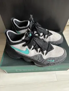 ATMOS×NIKE LEBRON 16 - メルカリ