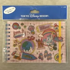 【説明文必読】東京ディズニーリゾート　シール帳　パークアイコン　ミッキー　ミニー
