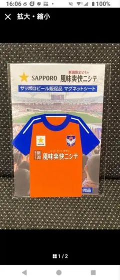 アルビレックス新潟マグネットシート