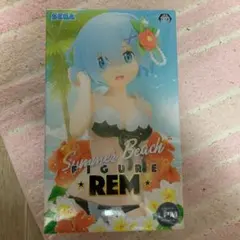 Re:ゼロから始める異世界生活 レム 水着 フィギュア