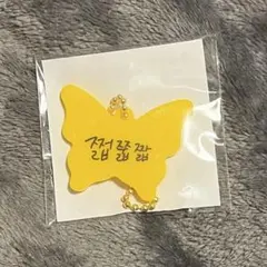 NCT DREAM ドリショ4 ランダムトイ　チョンロ