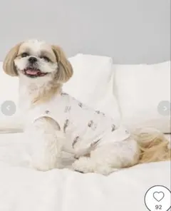 2026年最新】ジェラートピケシーズの人気アイテム - メルカリ