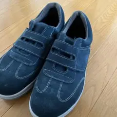 Item thumbnail for item 5d2d8b8e-147a-4f97-8839-e163191abbd7