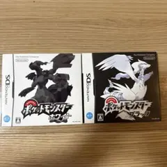 【箱・説明書付き】ポケットモンスター ブラック・ホワイト 2本セット DS