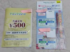 ナガシマリゾート 共通金券 パスポート券のサムネイル