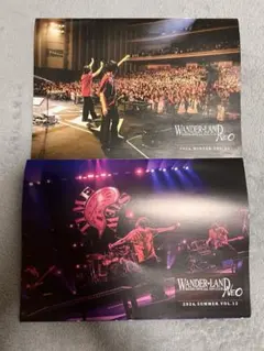 入手困難 激レア】WANDS Live Tour フォトブック セット - メルカリ
