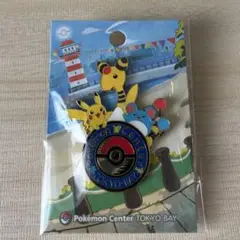 2025年最新】ピンズ ポケモンセンターの人気アイテム - メルカリ