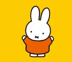 専用