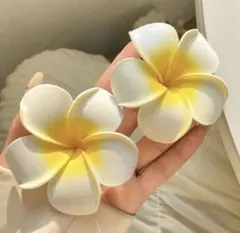 プルメリア ダンス・バレエ