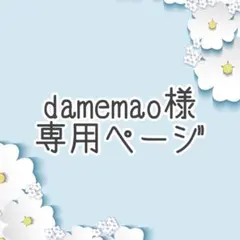 damemao様専用ページ♬.*゜