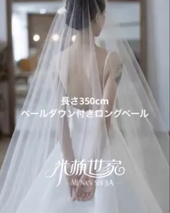 Item thumbnail for item 329577e2-dff4-4510-98ef-b8ddf35f4f92