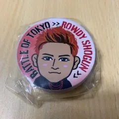 THE RAMPAGE 龍 マグネット