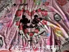 ディズニーリゾート限定Sweet Loveブランケット