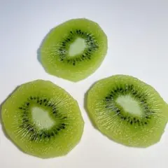 食品サンプル　キウイ　スライス