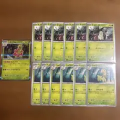 メガニウム チコリータ ベイリーフ 13枚　進化ライン