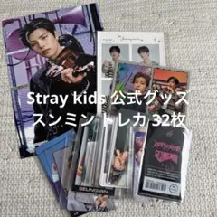 Stray Kids スンミン トレカ アクスタ グッズ まとめ売り Stray Kids スンミン トレカ アクスタ グッズ まとめ売り