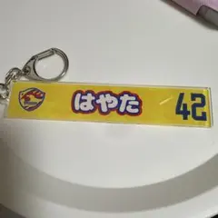 Item thumbnail for item 1f59a038-1c70-48a1-b9d2-0817cce2aeec