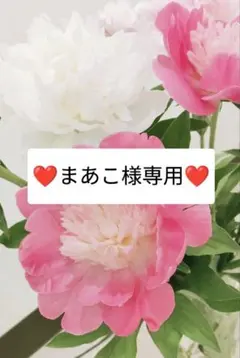 ❤まあこ様専用ページ❤