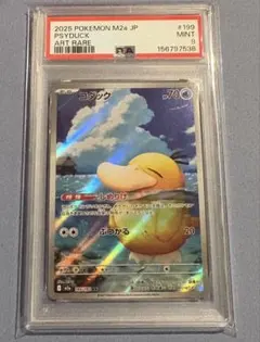 カスミのコダック AR 鑑定品 PSA9 - メルカリ