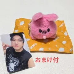2026年最新】straykids チャンビン ぬいぐるみの人気アイテム - メルカリ