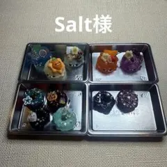 Salt様
