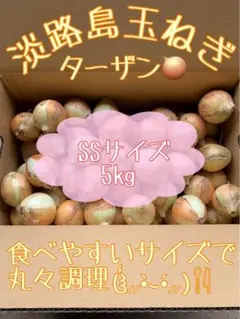 淡路島 玉ねぎ ⭐︎ターザン⭐︎ 5kg (極小SS) 農家直送のサムネイル