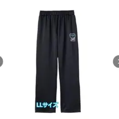 Item thumbnail for item 58b2e86c-48f6-4490-a1dd-caca5432e56c