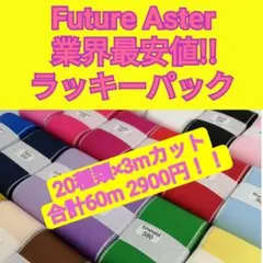 20種類のリボンを自由に組み合わせてお選び下さい　業界最安値！ラッキーパック