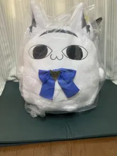 2026年最新】ミテイル ぬいぐるみ 白上フブキの人気アイテム - メルカリ