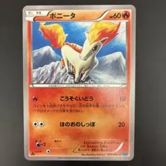 ポニータ C XY2 ワイルドブレイズ 012/080