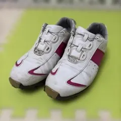 フットジョイゴルフスパイク