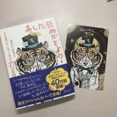 洋服大好きフォロー割様 リクエスト 2点 まとめ商品