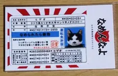 なめ猫 ヒゲオ免許証 ステッカーのサムネイル