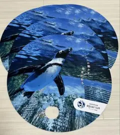 2026年最新】名古屋港水族館 うちわの人気アイテム - メルカリ