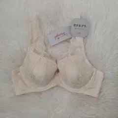 トリンプ　恋するブラ　TR562 M011 C75　定価6490円