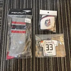 ファジアーノ岡山 応援グッズ