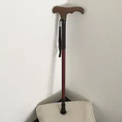 Item thumbnail for item 3d30bf30-604c-4040-a709-411b301254bd