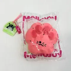 Mellojoy メロジョイ スクイーズ 癒しの猫爪（スイカ爪）