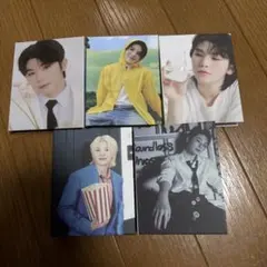 ウジ　carat盤　まとめ売り