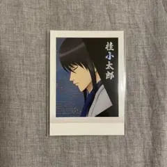 銀魂 ぱしゃこれ PREMIUM 銀魂展ver. No.05 桂小太郎