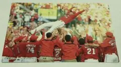 プロ野球チップスカード　広島