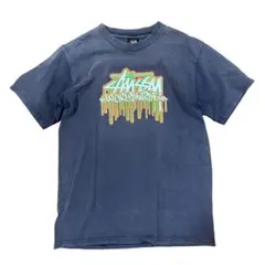 2026年最新】stussy ラスタ tシャツの人気アイテム - メルカリ
