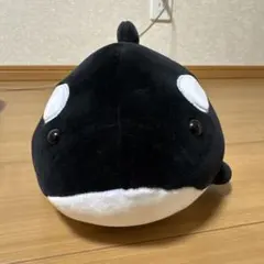 鴨川シーワールド 水族館 シャチ ぬいぐるみ