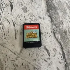 【Switch】あつまれ どうぶつの森 Animal Crossing