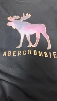アバクロ　ABERCROMBIE 長袖Tシャツ KIDS　15／16　ロゴ　鹿